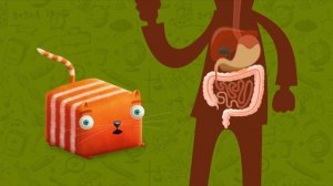 Развлечёба. Окружающий мир. Про пищеварение