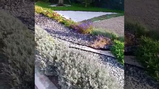 Бюджетный автополив. смотреть онлайн