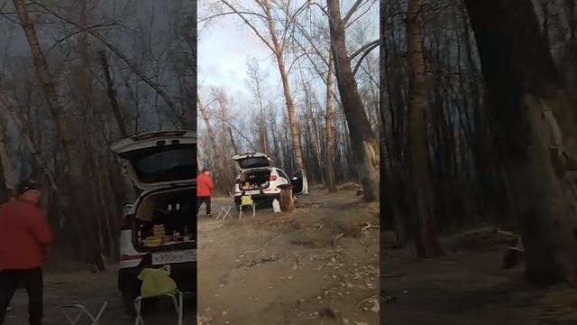 Советы для уборки дома и дачи