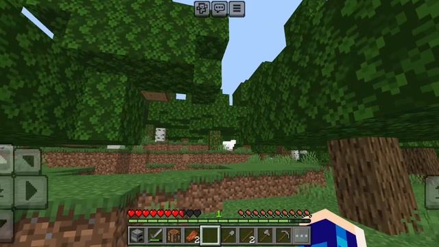 ТЕПЕРЬ У МЕНЯ ЕСТЬ СВОЙ СЕРВЕР В MCPE #minecraft #games #shortvideo #robl смотреть онлайн