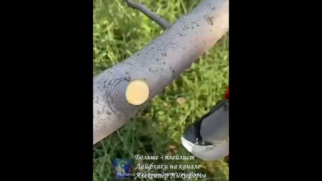 Обзор. Аккумуляторный садовый секатор смотреть онлайн