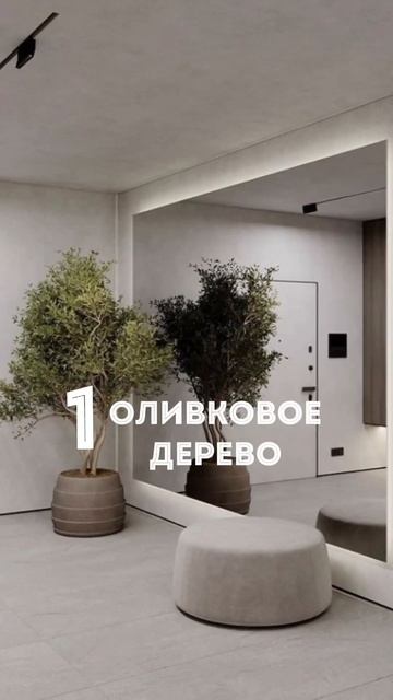 Топ 3 живых растений. #советы #растения #топ смотреть онлайн