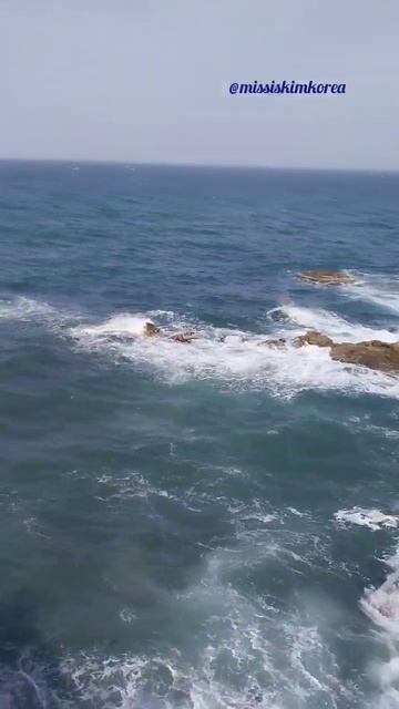 Таинственный Остров / Жизнь у Моря /Ю.Корея #missiskimkorea #shor смотреть онлайн
