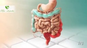 Шрот расторопши