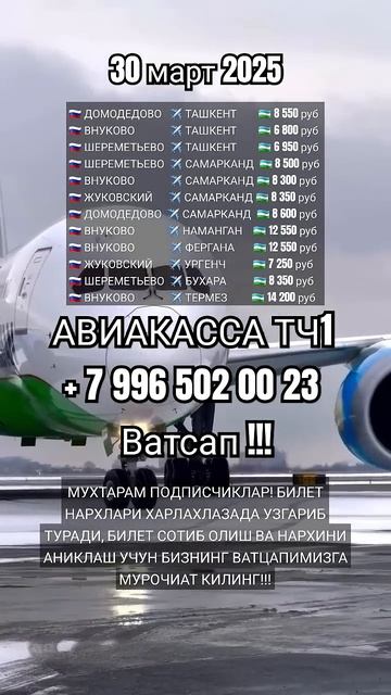 Нархи билет 30 март #авиакасса #aviakassa_tj1 #самарканд #ташк? смотреть онлайн