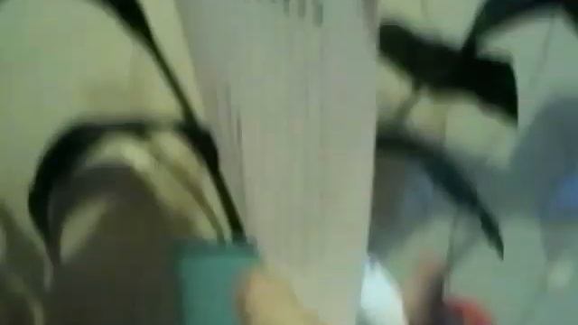 Дельфин ночало 1 часть смотреть онлайн