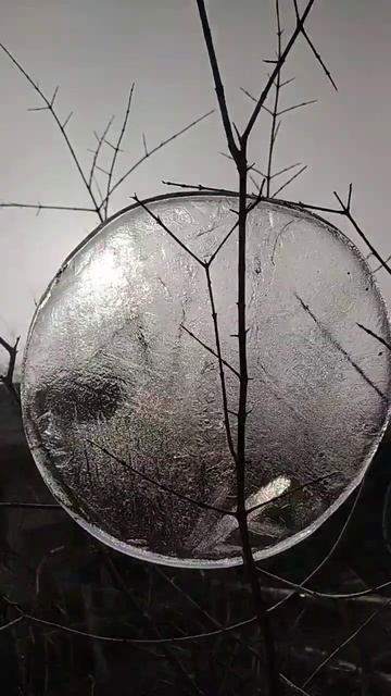 Ты счастливый человек, если у тебя есть возможность ви смотреть онлайн