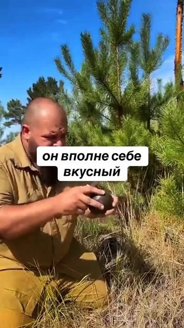 вышел мишка на крыльцо #выживалово #умиралово #мем #выж смотреть онлайн