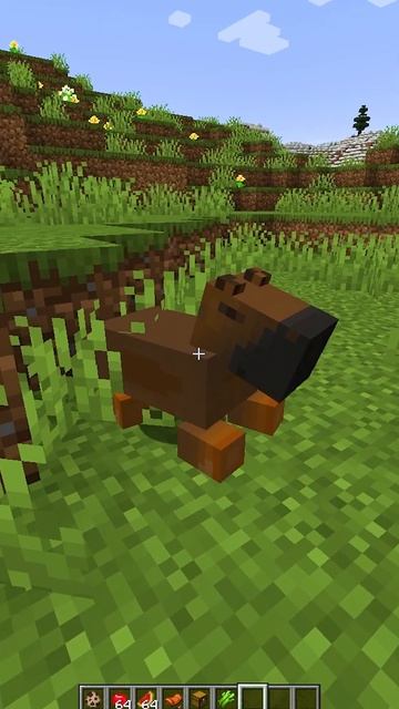 ПРИРУЧИЛ КАПИБАРУ - ТОП МОД В МАЙНКРАФТ #minecraft #майнкра? смотреть онлайн