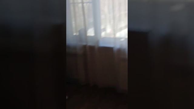 Есть новости) смотреть онлайн