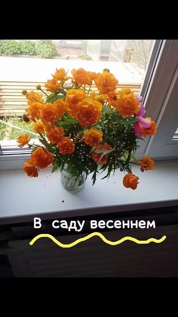 Ландыши, Космея, Жарки, Спящая Красавица в жаркий летн? смотреть онлайн