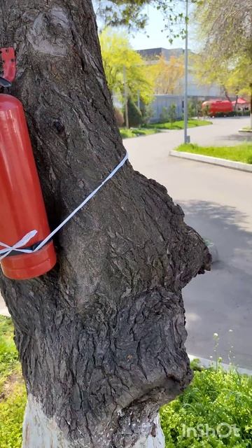 RU: Считаю, что гвозди могут помешать дальнейшему процв смотреть онлайн