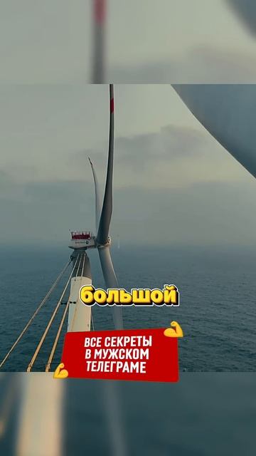 Лучшая работа в Мире!👷♂️ смотреть онлайн