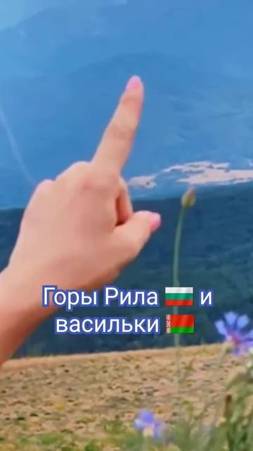 Горы Рила и васильки-напоминание о моей родной Белару? смотреть онлайн