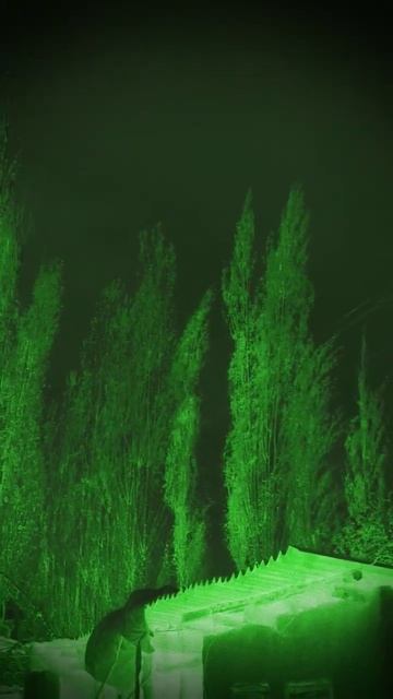 Павловния vs ТЕРЕК. смотреть онлайн