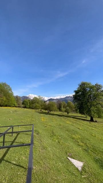 АЛЬПИЙСКИЕ ЛУГА есть и на Кавказе! ❤️💪⛰️ #горыкавк? смотреть онлайн