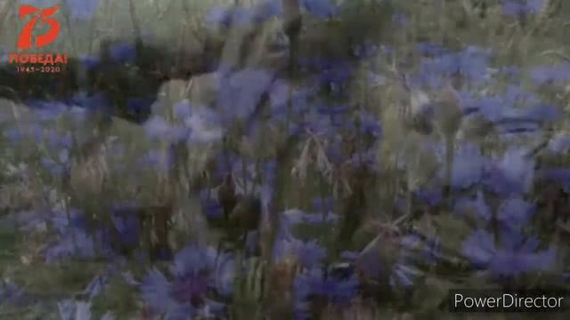 #ИГОРЬ_СОГОНОВ,Песни на стихи поэтов-фронтовиков "Васи смотреть онлайн