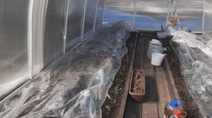 Жара в теплице, Несмотря на то, что на улице холодно. Прогреваю грунт.