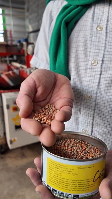 Маленькие секреты маленьких семечек! смотреть онлайн