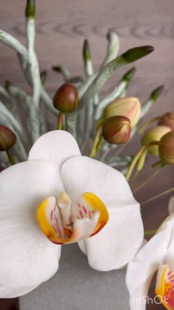 Орхидея фаленопсис в процессе #art #handmade #flowers #орхидеи #ц смотреть онлайн