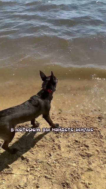 Хотим быть не просто позитивными, но еще и полезными #с смотреть онлайн