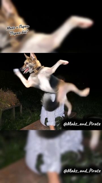 Макс и Пират бой смотреть онлайн