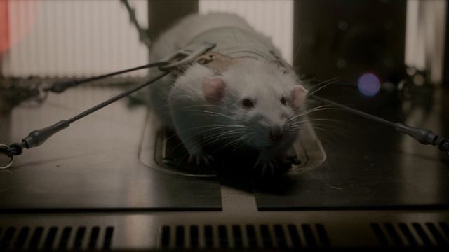 Отрывок из фильма Живое / Life смотреть онлайн