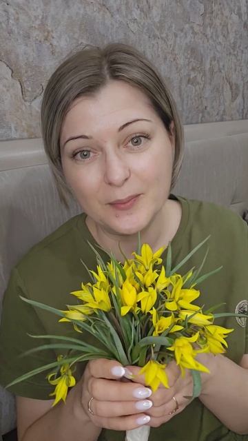 Тюльпаны Биберштейна или бузляки или подснежники, лаз смотреть онлайн