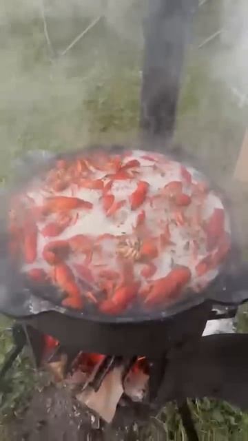 РАКИ ПРОСТО ПУШКА🦞 #shorts #reels #рак #отдых #друзья #баня #р смотреть онлайн