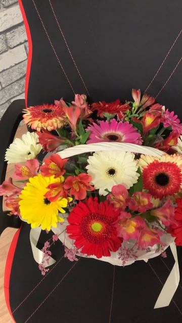 Герберы смотреть онлайн