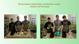 Проект "Огород на подоконнике"