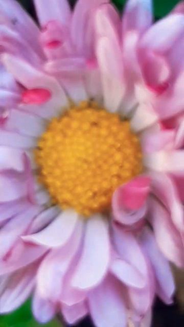 3 октября +23+25, аномально тёплая погода продолжается. #na смотреть онлайн