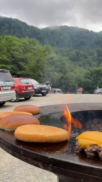 Посмотреть каталог грилей можно можно на нашем сайте ? смотреть онлайн