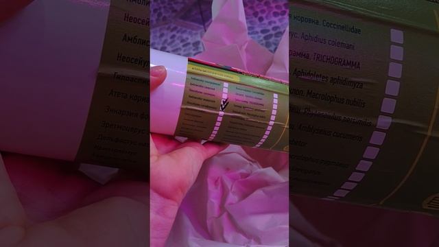 Как избавиться от ПАУТИННОГО КЛЕЩА на растениях БЕЗ Х? смотреть онлайн