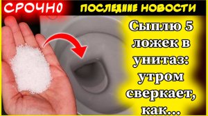 Секрет горничных: как очистить унитаз до блеска за копейки!