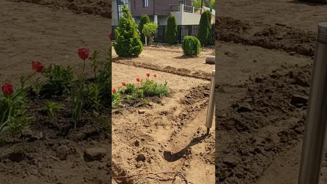 20 июля 2024 г.