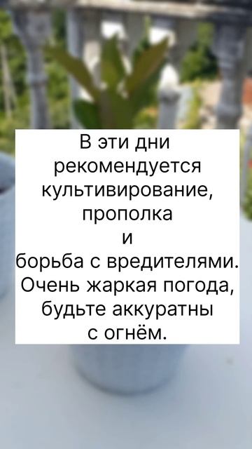 Лунное садоводство #луна #огород #сад смотреть онлайн