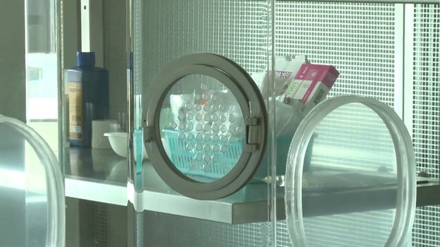 Пересадка косного мозга ГОТОВ22 смотреть онлайн