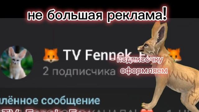 Все футажи есть у меня в тг канале ❤ #фенек #анимация #р смотреть онлайн