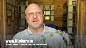 Чистец болотный. Алефиров А.Н.