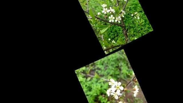spring .mp4 смотреть онлайн