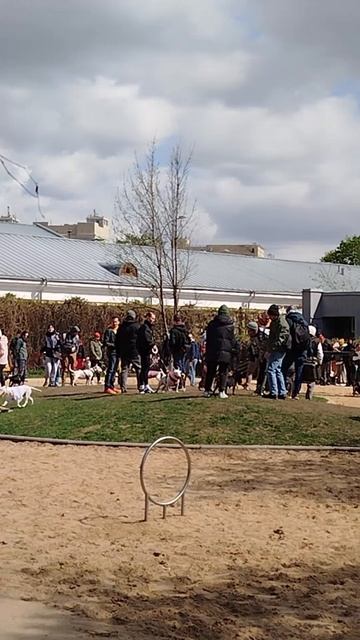 Весенняя бультуса на Фрунзенской смотреть онлайн