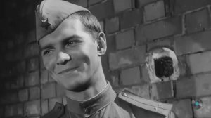 Песни военных лет. Большой Сборник ко Дню Победы. 80 лет Победы. Военные песни