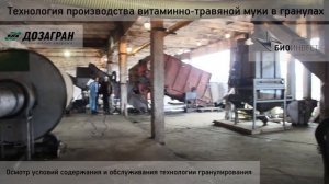 Гранулированная витаминно-травяная мука, технология "