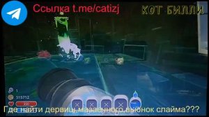 Где найти дервиш вьюнок и мазаячного слайма?!