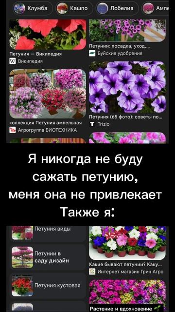 #растения #юмор #петуния #петунии #петунияизсемян #plants # смотреть онлайн