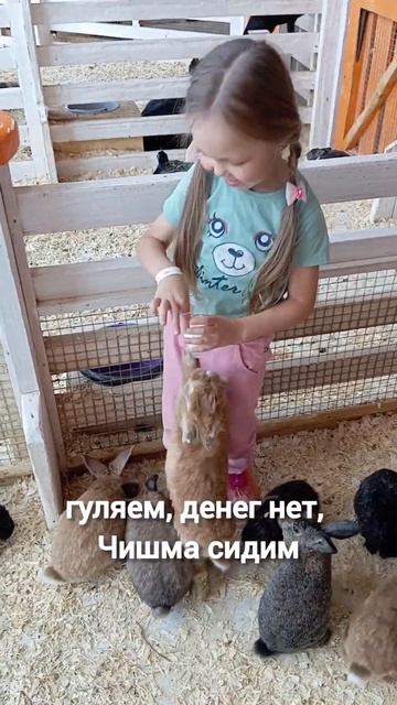 Деньги есть - Уфа гуляем #челлендж #365 #Уфагуляем #Уфа смотреть онлайн