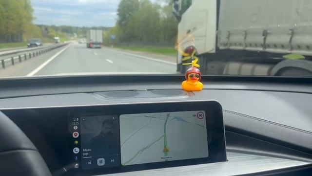 прикольная уточка в машину