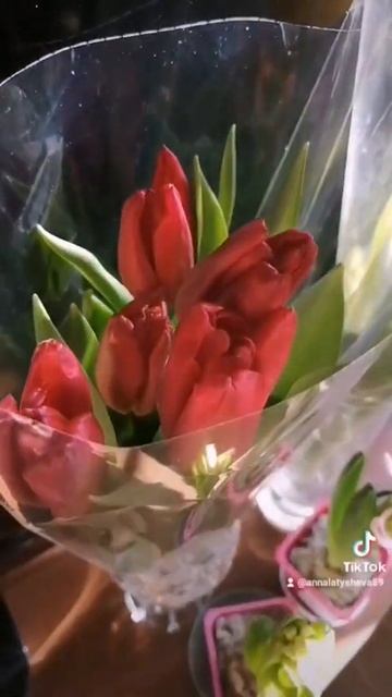 Весна. Лучиком весна. 🌝🌞 💐 #весенниенастроение #цве смотреть онлайн