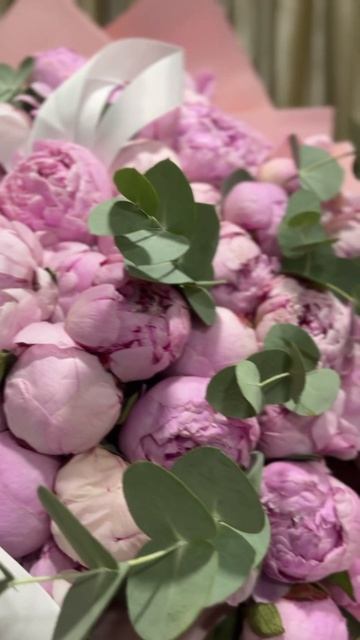 51 пион Алматы 87770350853 смотреть онлайн